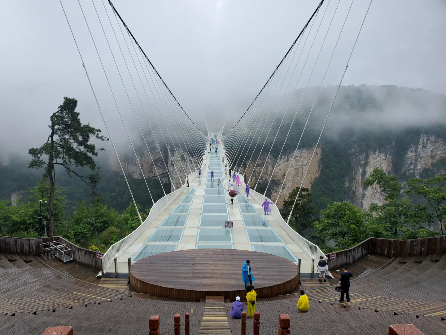 雨中玻璃桥